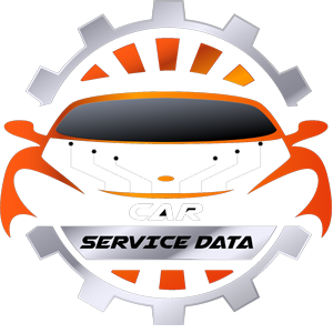 Car Service Data